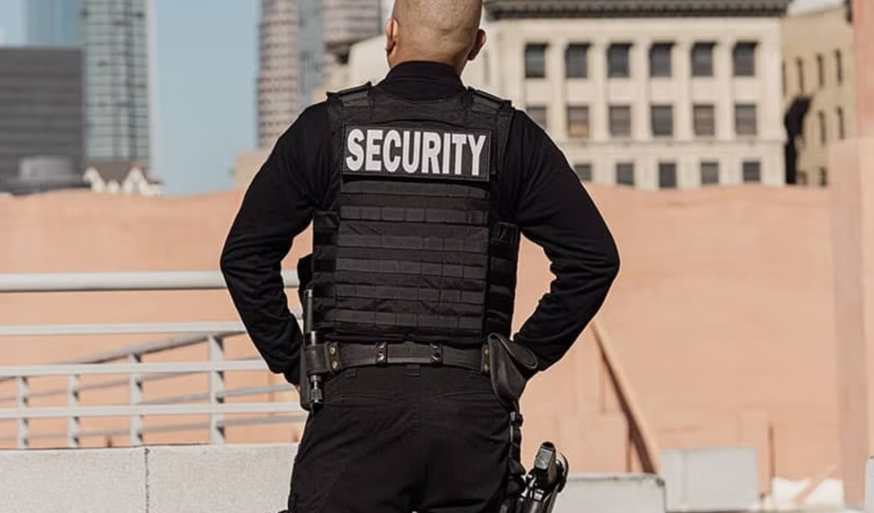 Professional corporate event security